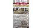 两命知情人爆料男方外面有小三河北一女子怀